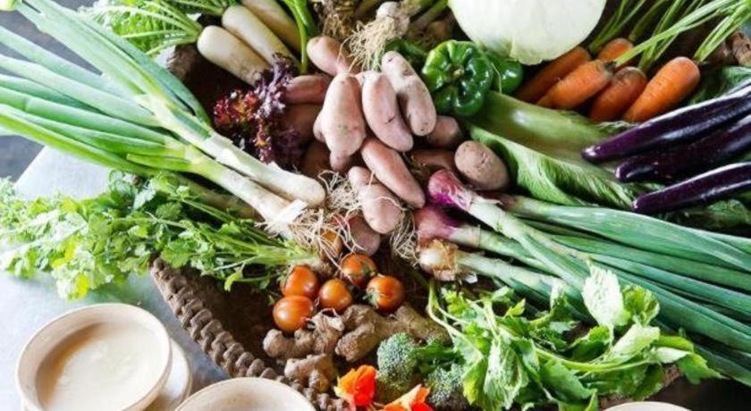 Hananoie - A Permaculture Resort Ποκάρα Εξωτερικό φωτογραφία