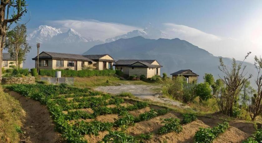 Hananoie - A Permaculture Resort Ποκάρα Εξωτερικό φωτογραφία