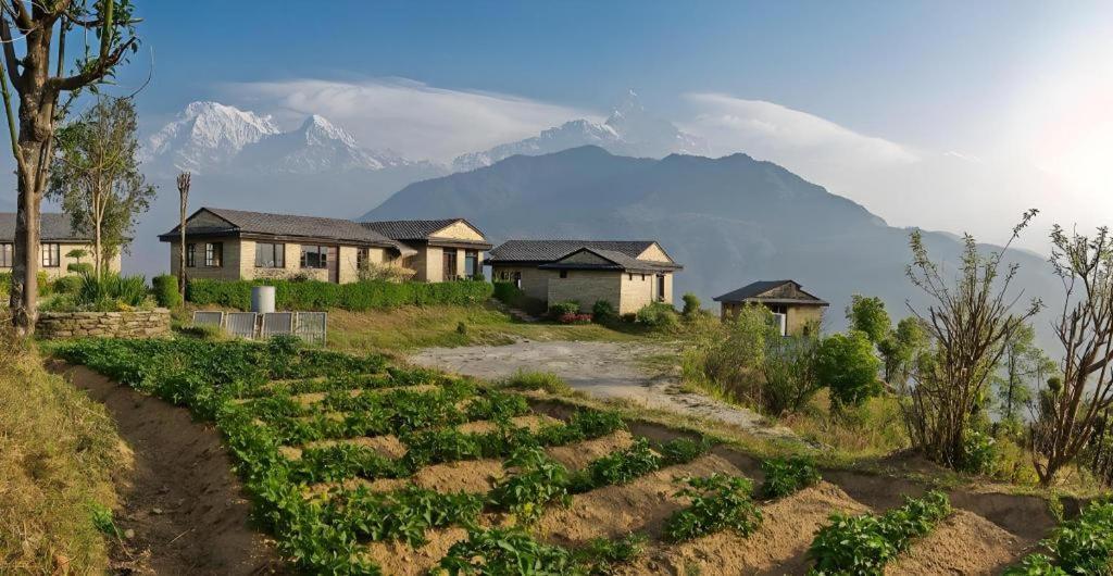 Hananoie - A Permaculture Resort Ποκάρα Εξωτερικό φωτογραφία