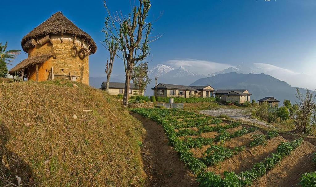 Hananoie - A Permaculture Resort Ποκάρα Εξωτερικό φωτογραφία